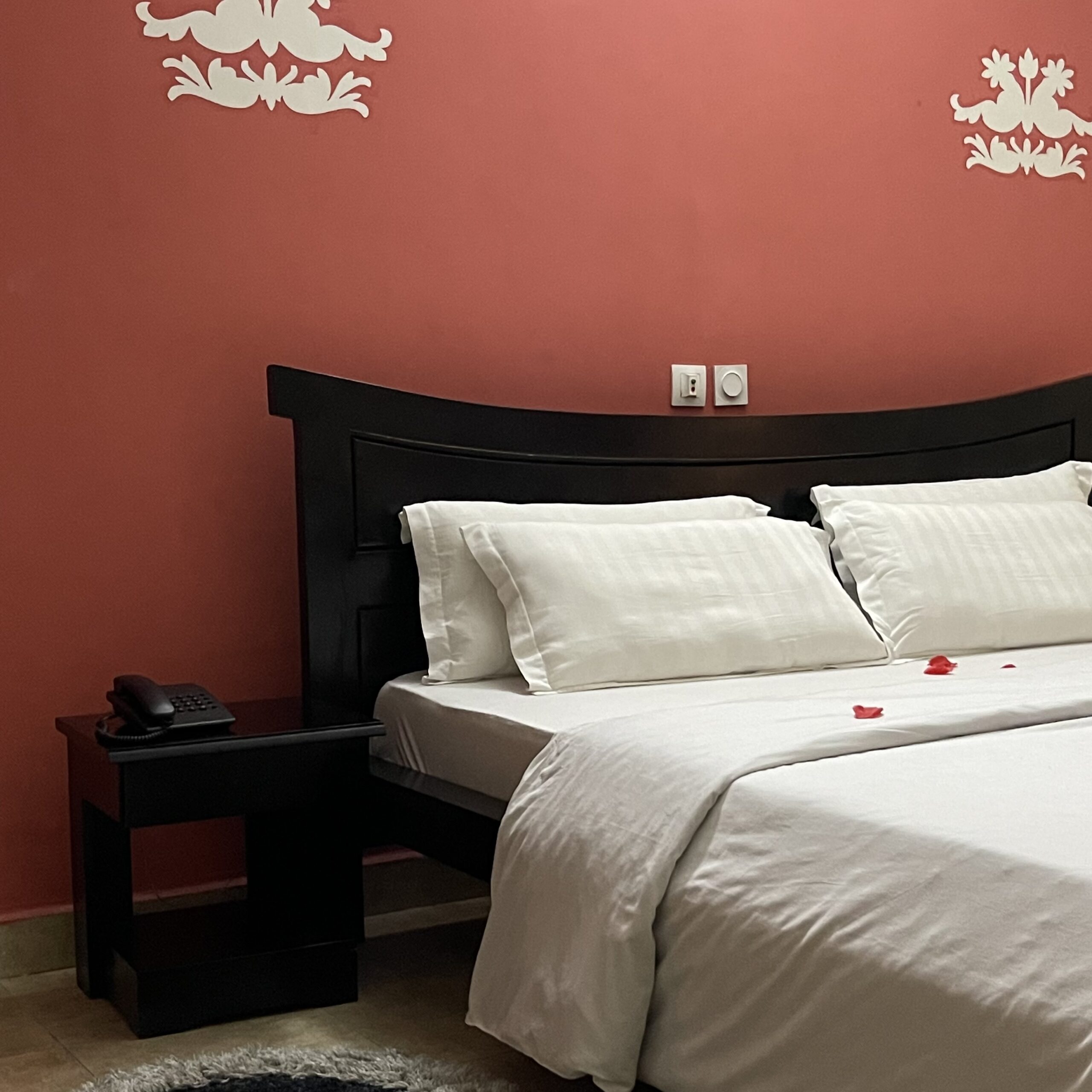 81D91084-08AF-4309-BB5E-3C680C56E492